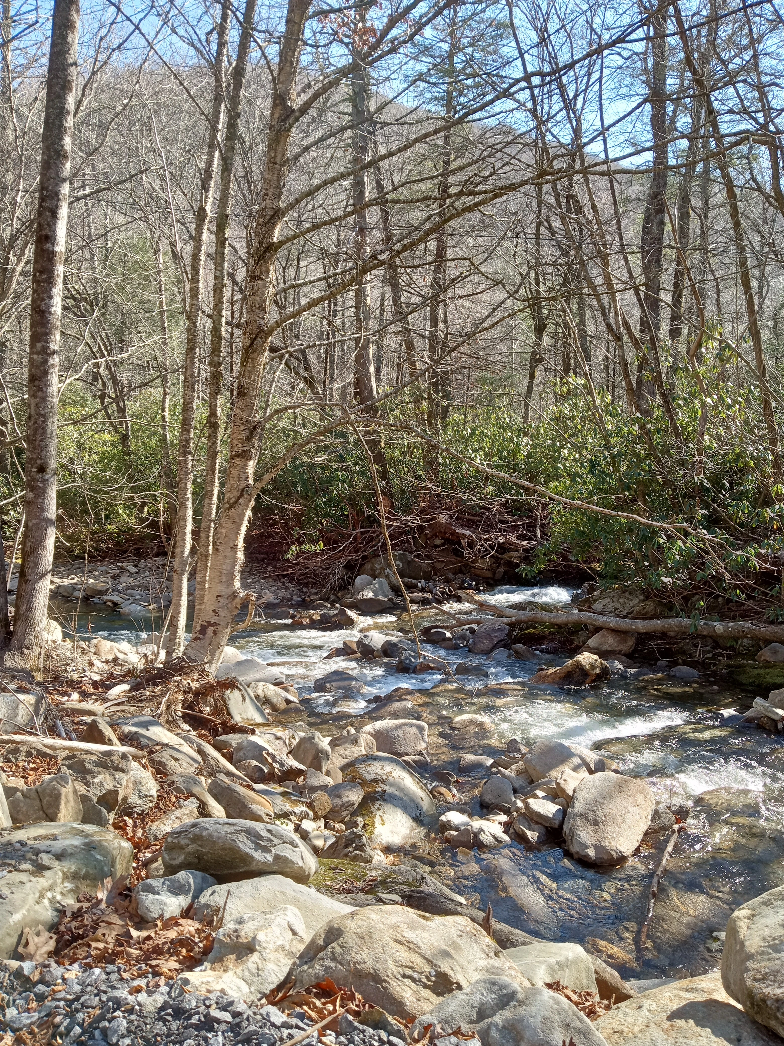 Alpine trails